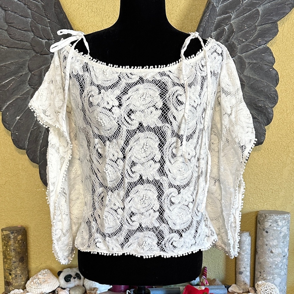 Zara Lace-Like/Embroidered Top